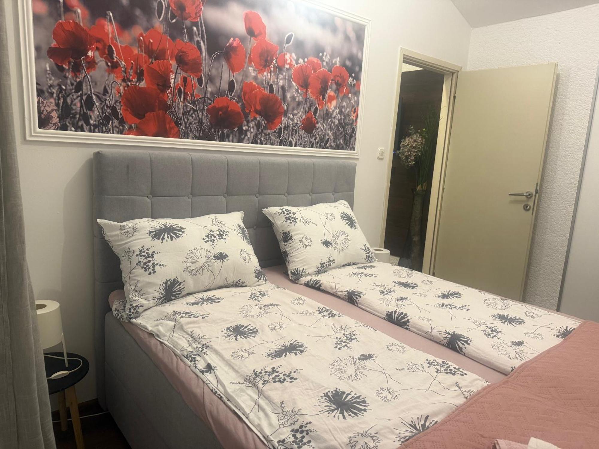 Apartmani Milokanovic 冯塔纳 外观 照片