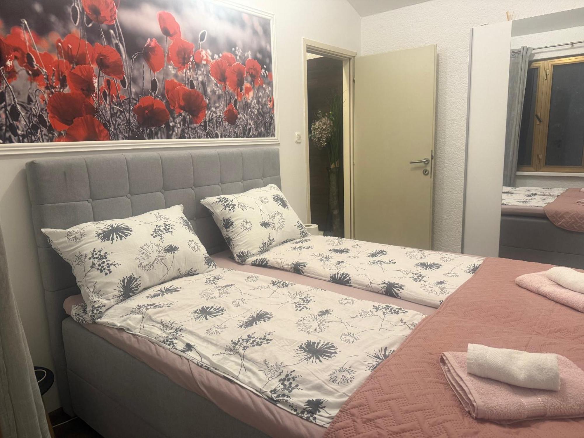 Apartmani Milokanovic 冯塔纳 外观 照片